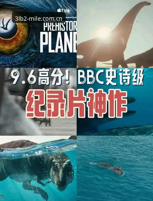 新版米乐锚定版入口变更 索斯盖特为何突然拍起纪录片?他看到了什么我们忽略的问题?